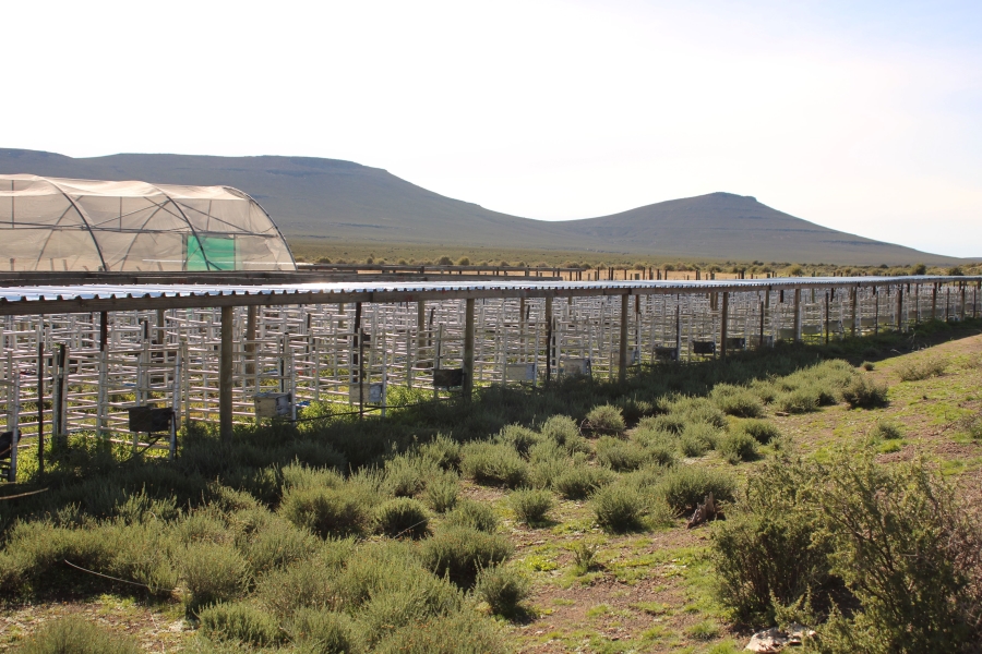 5 Bedroom Property for Sale in Fraserburg Rural Northern Cape